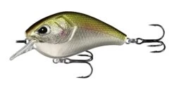 13 Fishing Flatty Daddy 2 1/2 Inch Flat-Sided Squarebill Crankbait 7 13 Fishing Flatty Daddy 2 1/2 Inch Flat-Sided Squarebill Crankbait -13 Fishing 13FISHING 014 55f8223f e6d8 46fe b7d0 a6f94646ccbe