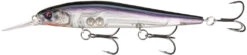 13 Fishing Loco Special 4 1/4 Inch Jerkbait 34 13 Fishing Loco Special 4 1/4 Inch Jerkbait -13 Fishing 9 Gizzard of OZ