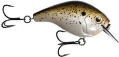 13 Fishing Scamp 1.5/2.5 Squarebill Crankbait -13 Fishing flipTruffle Butter